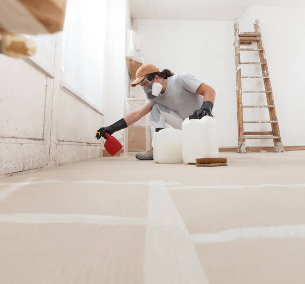 Best Attic Mold Removal  in West Bradenton, FL
