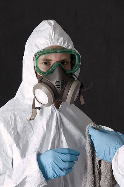 Environmental Consulting for Mold Prevention in West Bradenton, FL